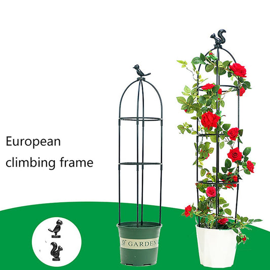 Modular Garden Plant Trellis Frame - Support for Climbing Flowers & Vines