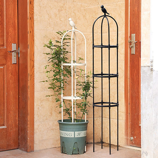 Modular Garden Plant Trellis Frame - Support for Climbing Flowers & Vines